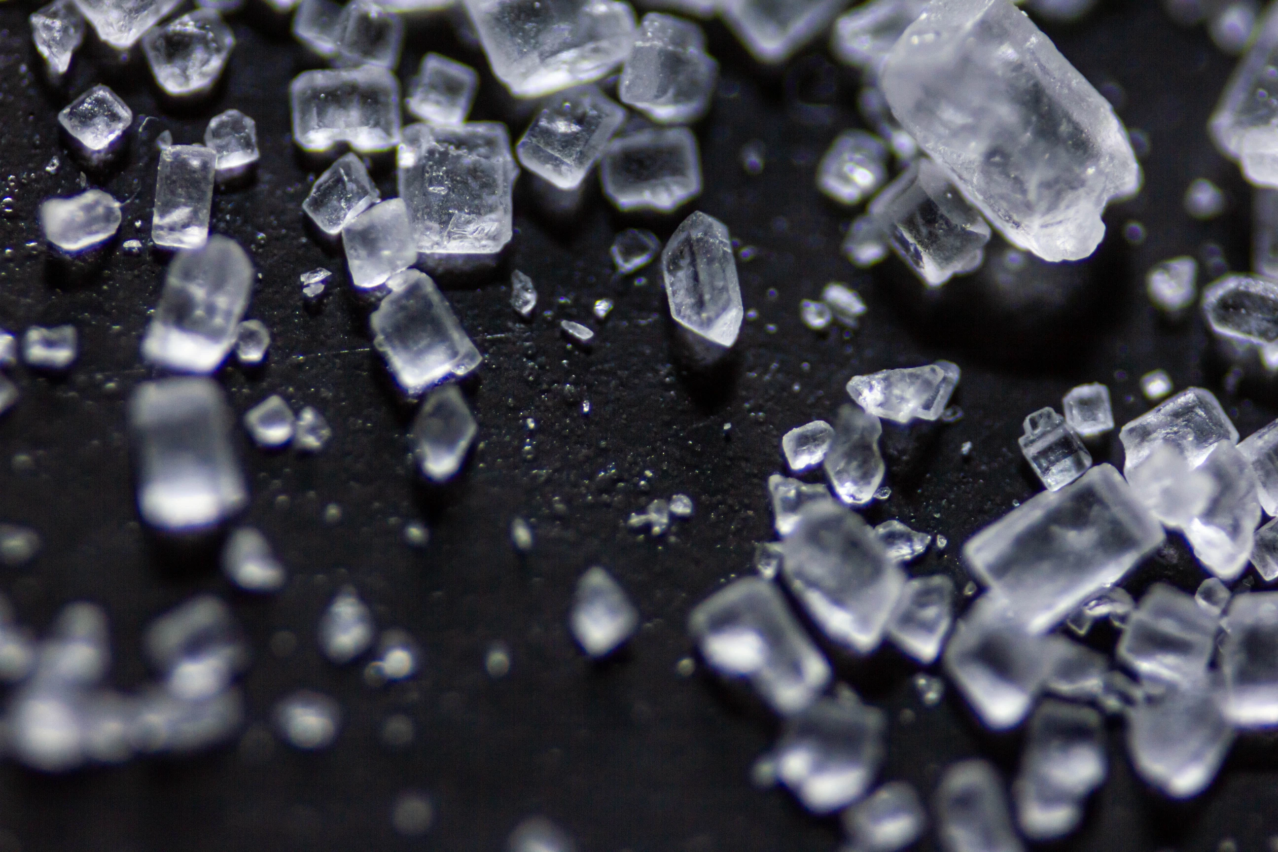 Macro Photography - Image 4